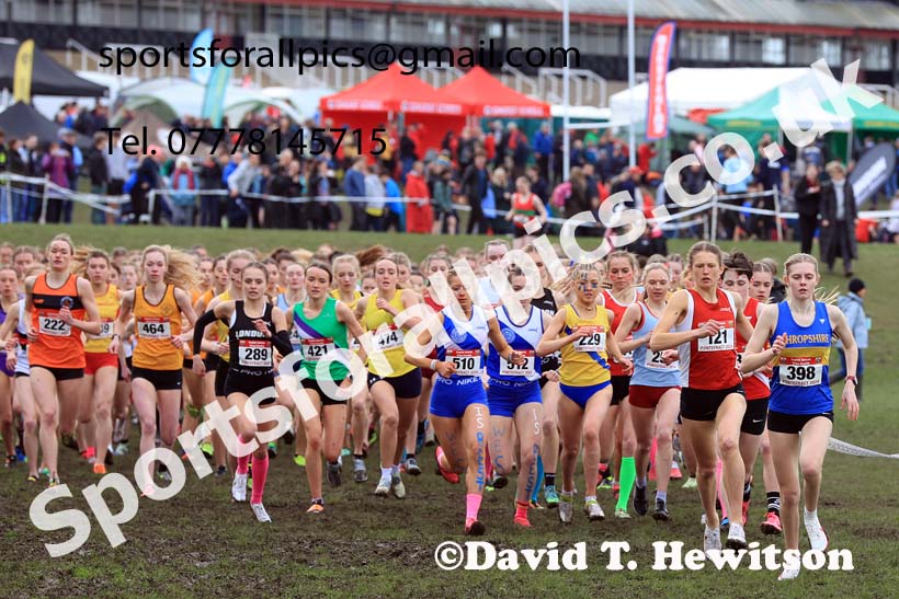 Senior Girls 2024 English Schools Cross Country Champs., Pontefract, March 16th.  Photo: David T. Hewitson/Sports for All Pics